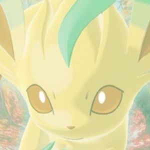 Meet your Posher, Lillian